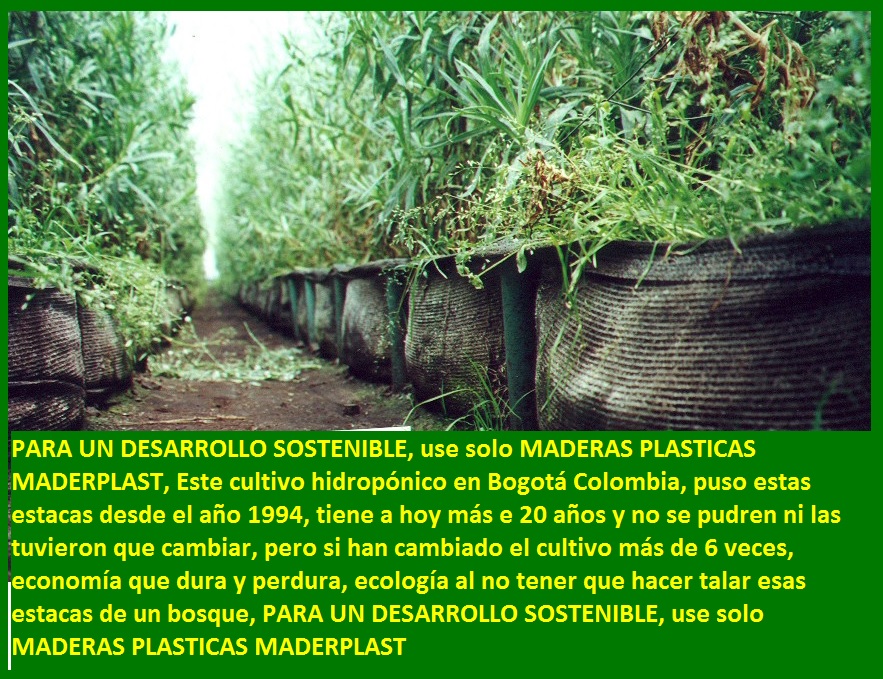 hidroponía como se preparan cultivos hidropónicos flores hidropónicas estacas postes tutores de maderas plásticas maderplast surcos camas bandejas escalerillas separadores flor de invernadero 0 hidroponía como se preparan cultivos hidropónicos flores hidropónicas estacas postes tutores de maderas plásticas maderplast surcos camas bandejas escalerillas separadores flor de invernadero 0 hidroponía como se preparan cultivos hidropónicos flores hidropónicas estacas postes tutores de maderas plásticas maderplast surcos camas bandejas escalerillas separadores flor de invernadero 0 hidroponía como se preparan cultivos hidropónicos flores hidropónicas estacas postes tutores de maderas plásticas maderplast surcos camas bandejas escalerillas separadores flor de invernadero 0